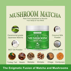 Close-up of mushroom blend with ceremonial-grade matcha powder