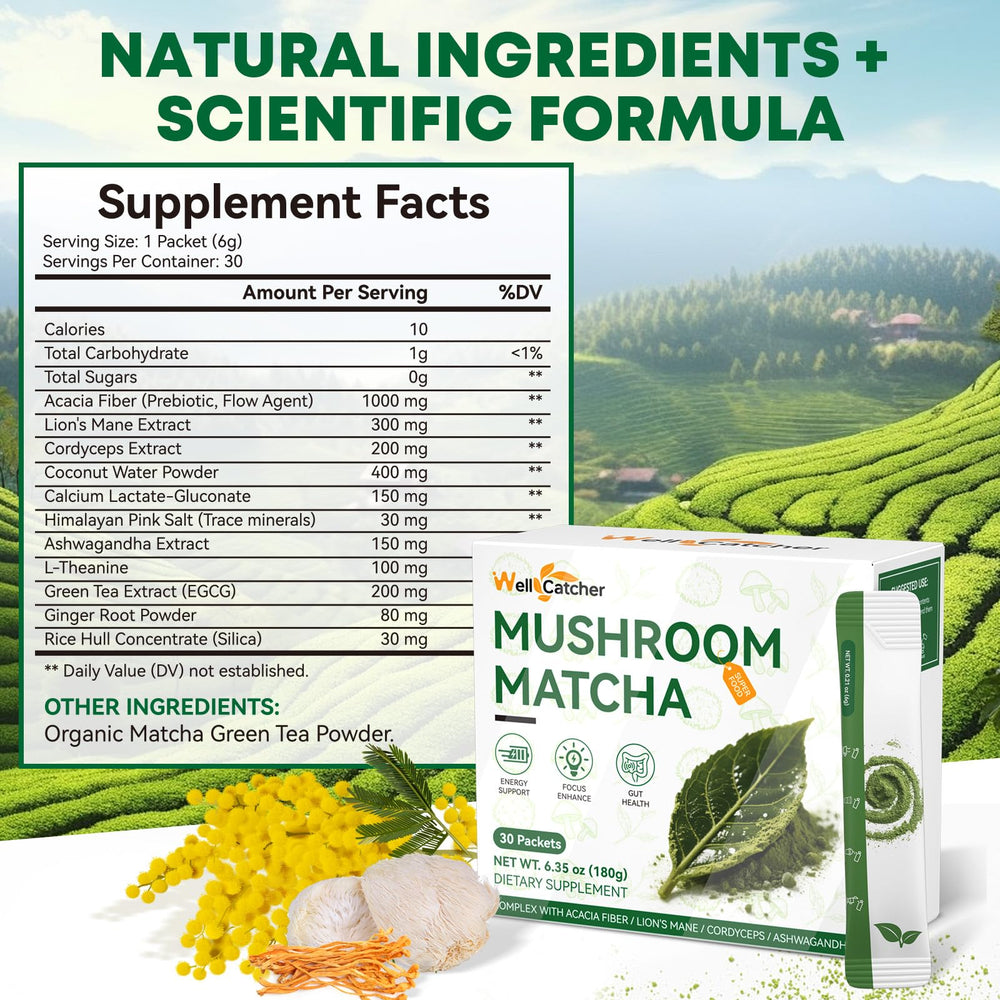 Mushroom matcha powder featuring Cordyceps and Lion’s Mane