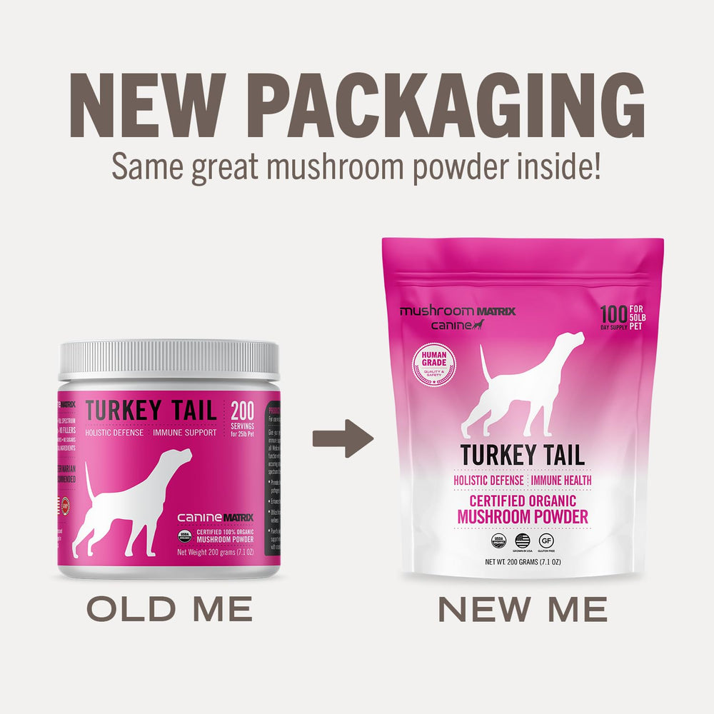 Mushroom Matrix certified organic mushrooms facility emphasizes safe, cGMP production.