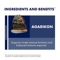 Illustration showing mushroom mycelium health benefits