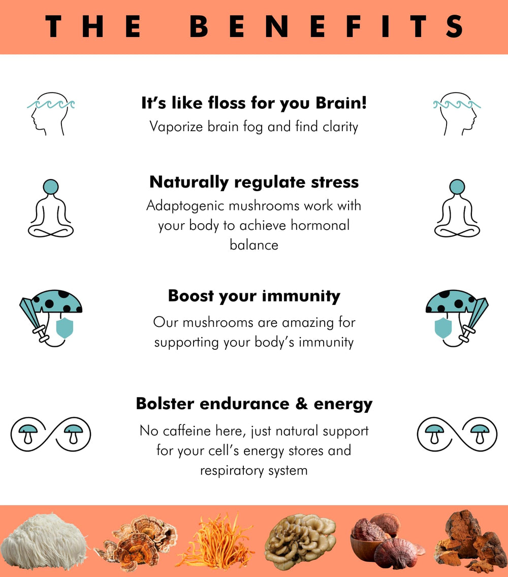 Lions Mane, Cordyceps, and Reishi mushroom varieties