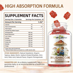 Blend of Chaga, Maitake, Turkey Tail, Shiitake, Reishi and Cordyceps