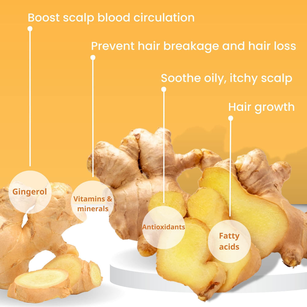 Muun Ginger shampoo bar Pack 3 close-up showing ginger-infused formula.