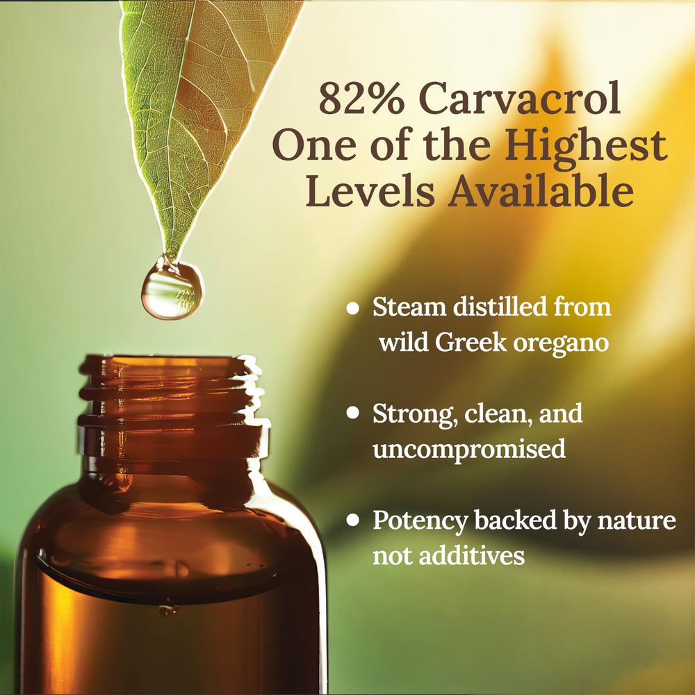 Steam-distilled oregano oil sourced from Mt. Olympus