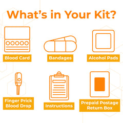 Blood spot collection kit for HSV-2 antibody testing