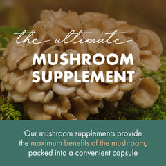 Maitake mushroom extract capsules in glass bottle