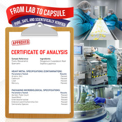 cGMP-certified facility seal on supplement packaging