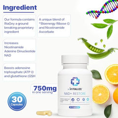 Nicotinamide Riboside (NR) and Ribose components