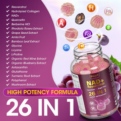 Sugar-free NAD Resveratrol Gummies packaging display