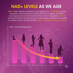 Assorted NAD Resveratrol Gummies with ingredients graphic