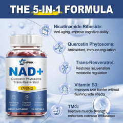 Energy and endurance visualization with NAD+