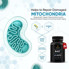 Close-up of liposomal NAD formula illustration