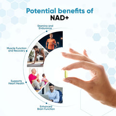 NAD+ product packaging featuring mitochondria health graphic