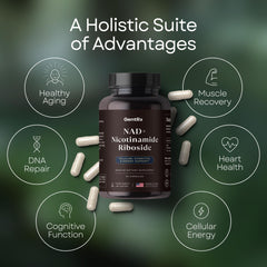 Packaging showing 30-day supply