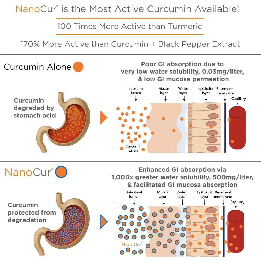 Plant-based carrier delivering organic curcumin