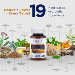 Illustration showing the 19 Ayurvedic herbs in NAOQ19 formula
