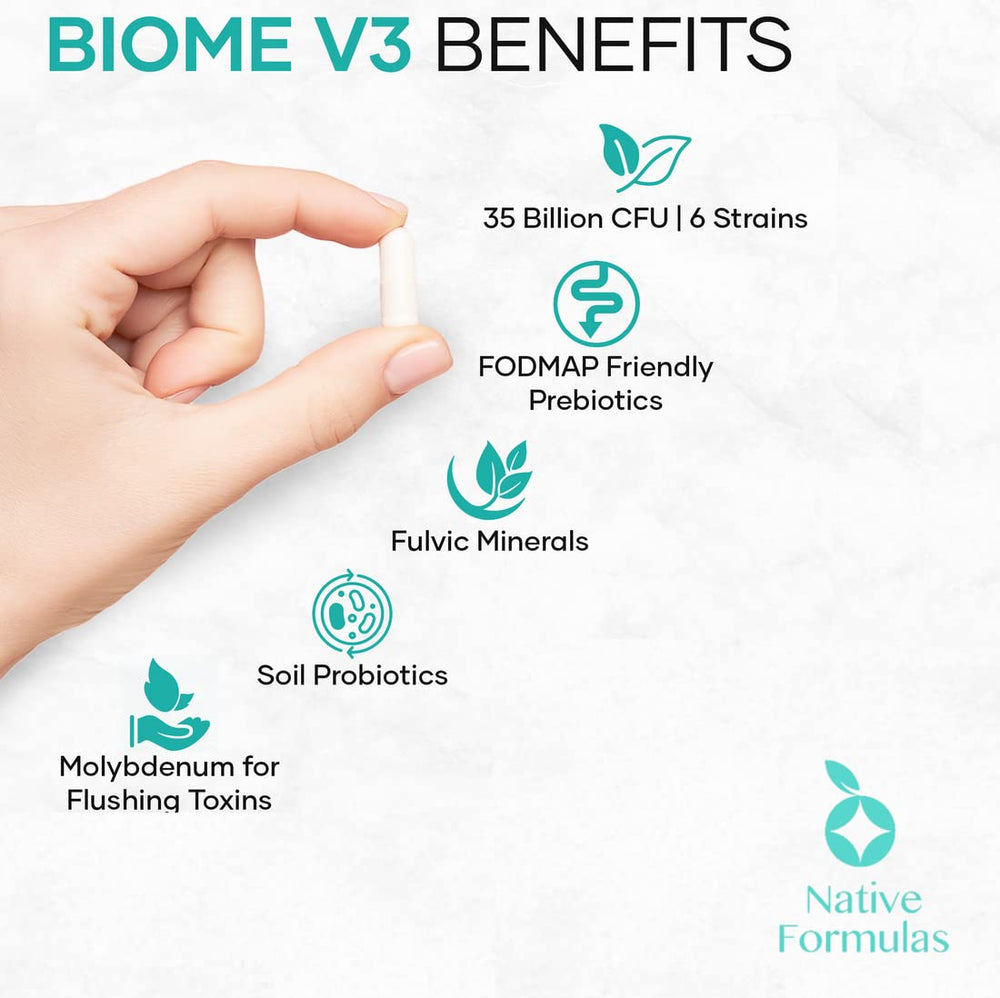 Biome V3 probiotic with 6 distinct strains for digestive and immune support