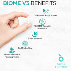 Biome V3 probiotic with 6 distinct strains for digestive and immune support