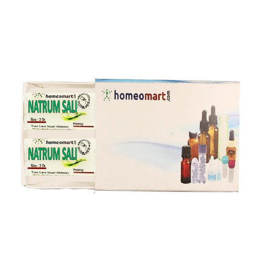 Main image of Natrum Salicylicum 6C pellets pack of 2