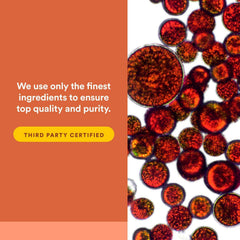 Graphic emphasizing third-party testing and purity assurance