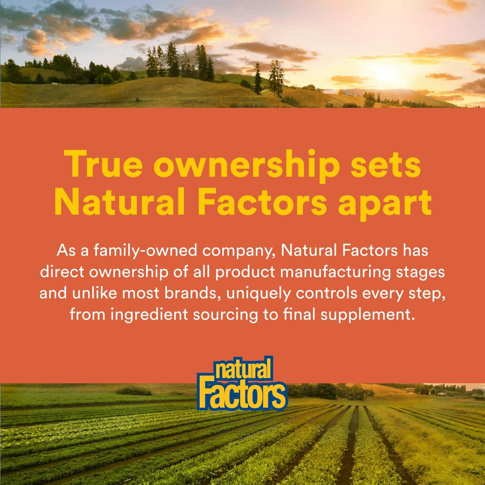 Product shot of Natural Factors Joint MSM Formula 90 capsules