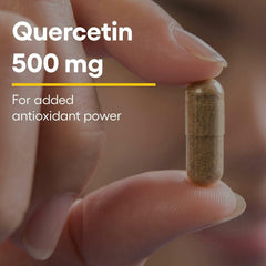 Quercetin capsules arranged on a white background