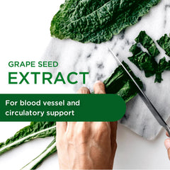 Natural flavonoids supporting veins and blood flow