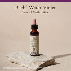 Natural flower essences ingredients for Water Violet remedy