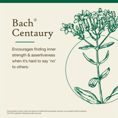Concept image: Dr. Edward Bach's Flower Remedies (38 remedies)