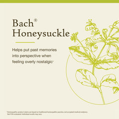 Natural flower remedies packaging and ingredients