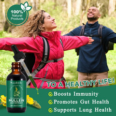 Natural formulas for mullein drops