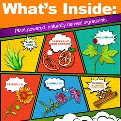 Illustration of natural ingredients: aloe vera, echinacea, goldenseal, calendula