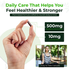 Capsules representing vegan, non-GMO, and gluten-free attributes