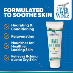 Close-up of aloe vera and silver gel texture