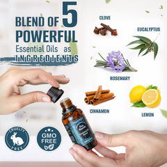 Collage of ingredients: Cinnamon, Clove, Eucalyptus, Lemon, Rosemary