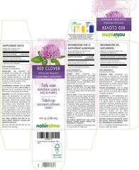 Liquid extract in drops of red clover herb with flowers