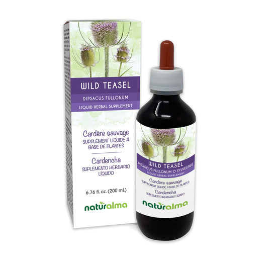 Naturalma Wild Teasel tincture bottle with dropper