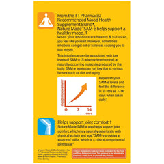 SAM-e joint support and mood health illustration