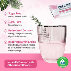 Close-up of collagen peptides powder scoop and powder