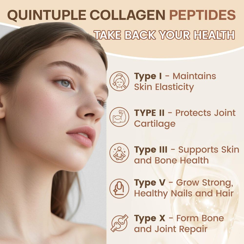 Illustration showing collagen types I, II, III, V and X