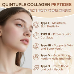 Illustration showing collagen types I, II, III, V and X