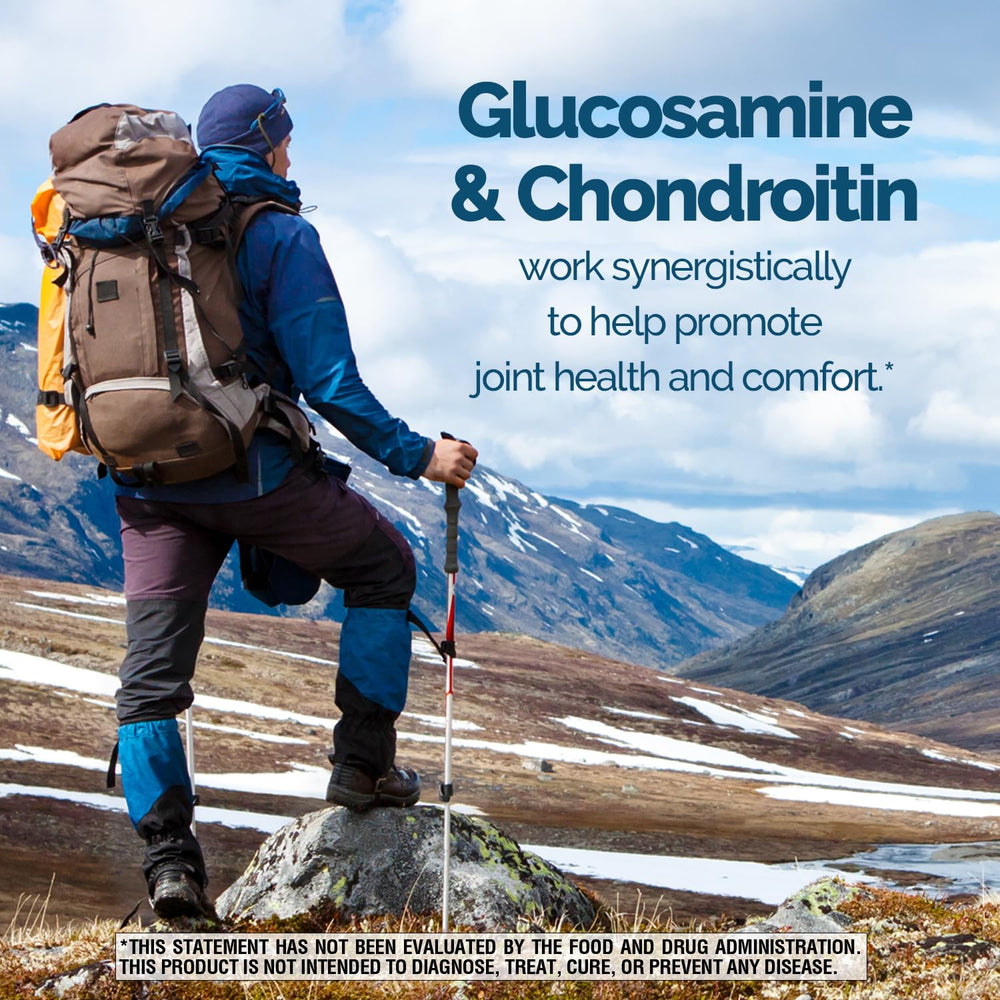 Graphic showing Glucosamine, Chondroitin, MSM and Hyaluronic Acid