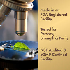 Quality assurance and cGMP certification graphic