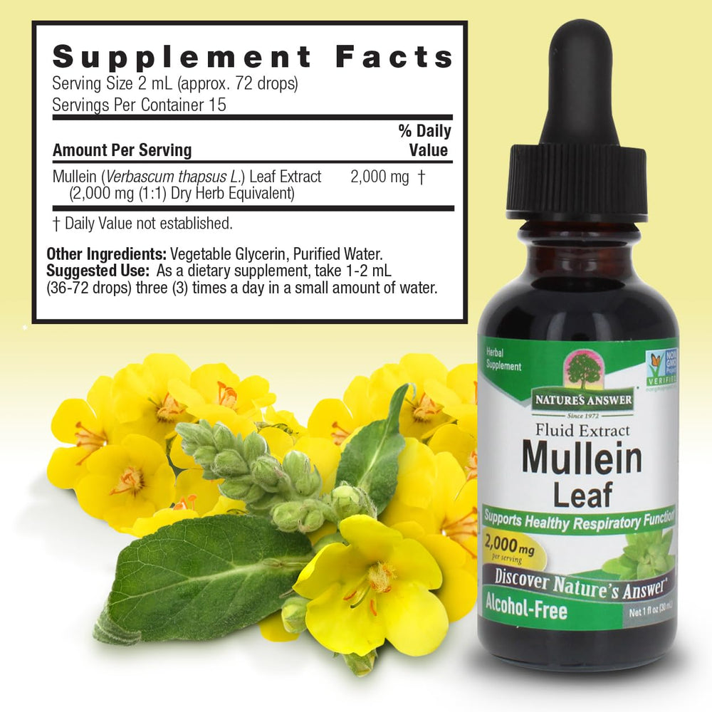 Mullein leaves and flowers used in Nature's Answer formulation