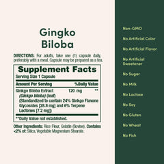 Ginkgo Biloba 120 mg capsules close-up