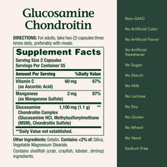 Glucosamine and Chondroitin capsules for joint health