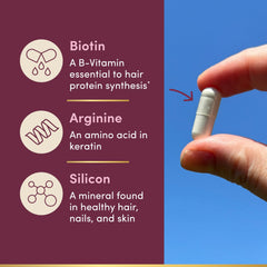 Hair follicles illustration showing growth and healthy hair