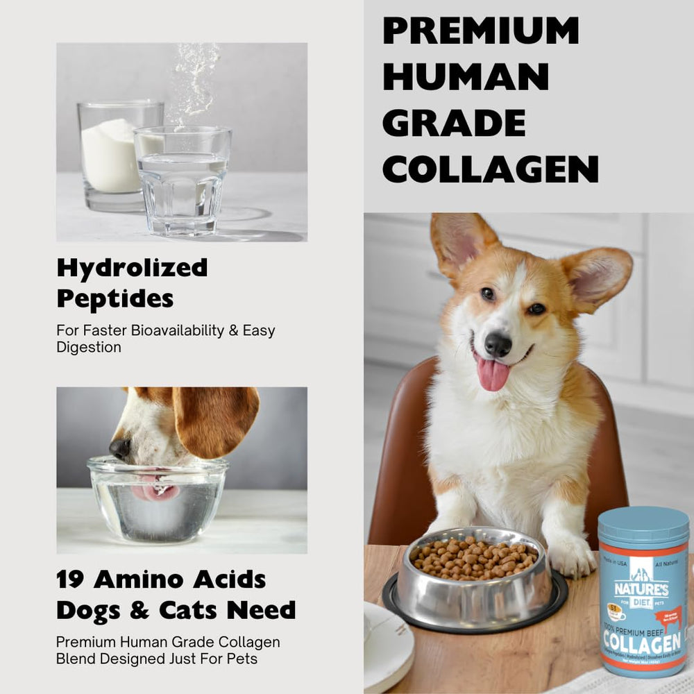 Digestive support with collagen peptides for pets
