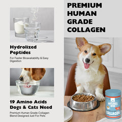 Digestive support with collagen peptides for pets