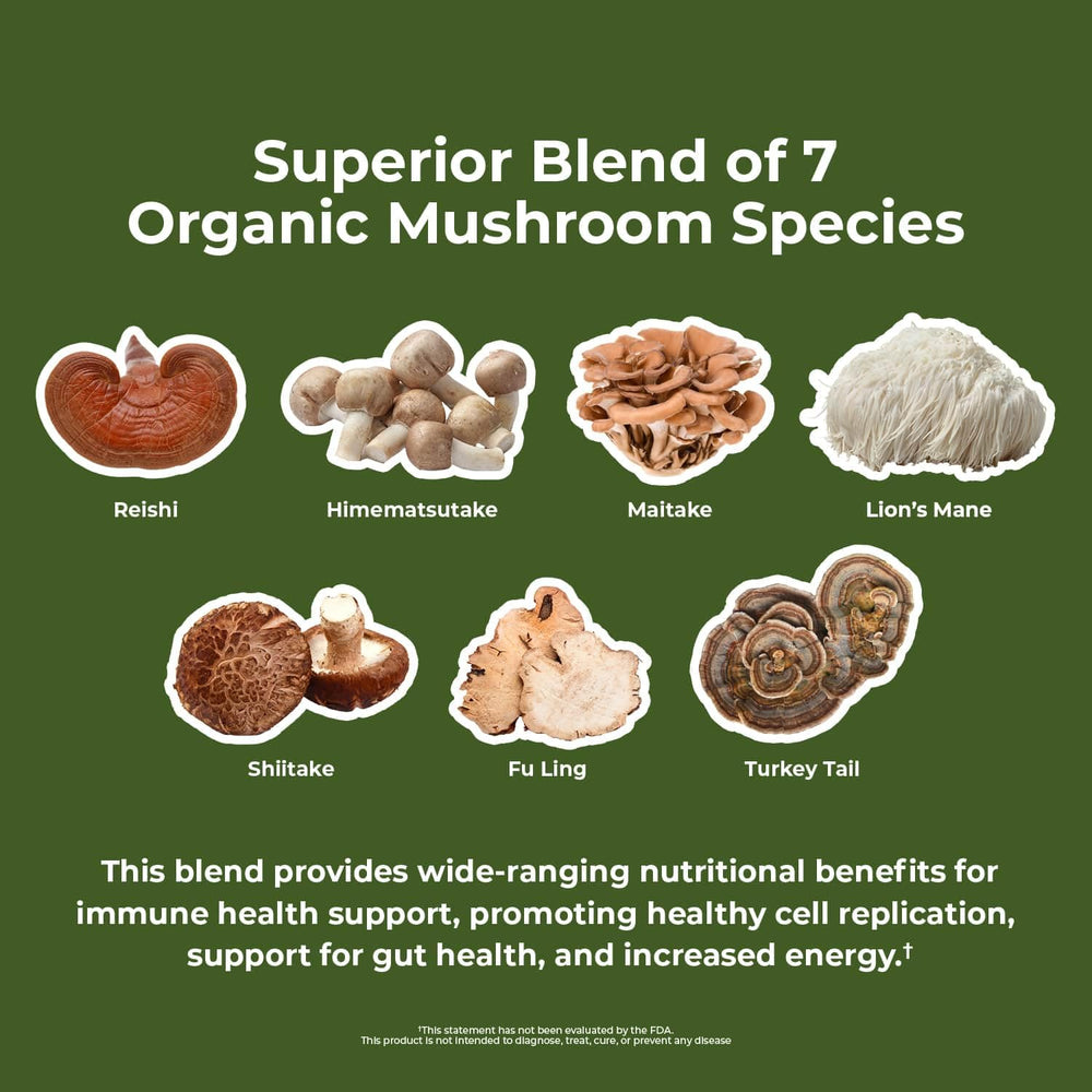 Maitake mushroom (Grifola frondosa) - Nature's Lab Mushroom 7 Organic Blend